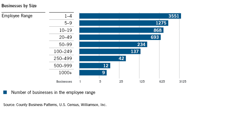 WilliamsonInc_Trends2020_Establishments by Employment
