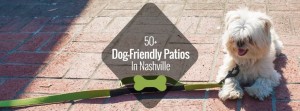 dog-friendly-patios-nashville-1024x379
