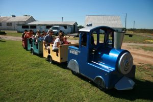 train-ride-at-harlinsdale